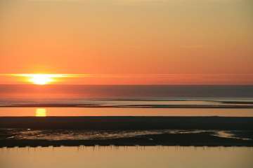 Bild-94