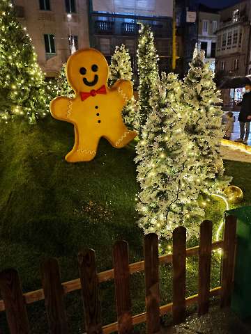 Bild-8