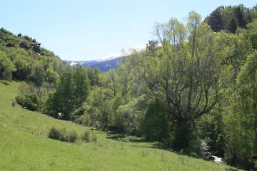 Bild-195