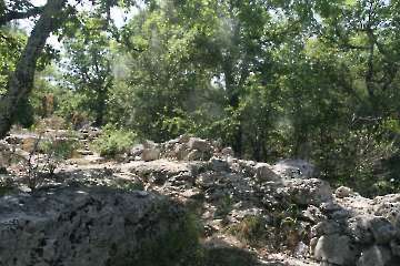 Bild-230
