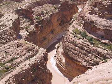 Bild-1