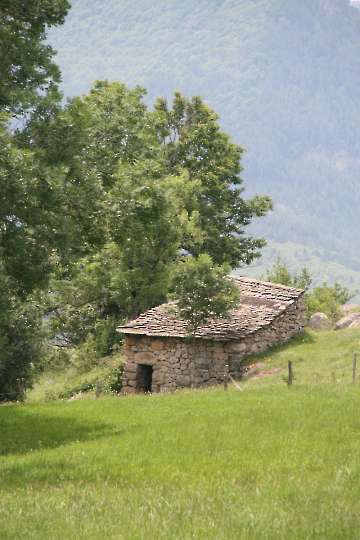 Bild-3