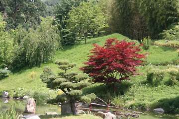 Bild-6
